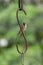 Bird (Eurasian Tree Sparrow) on a iron claw