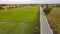 Bird eye view of asphalt road and green rice field. Beautiful lanscape countryside of evening