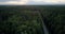 Bird eye view boundless evergreen wood and modern road