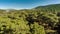 Bird-eye view at green hills with white plume of smoke rising up between pine trees in forest. Aerial, 4k.