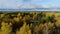 Bird eye view yellow birch and evergreen forest under sky