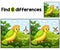 Bird Farm Find The Differences