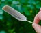 A bird feather being held with a green background