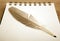 Bird feather in the form of a pen on a white notebook