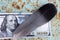 Bird feather on a hundred dollar bill, easy money