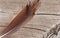 Bird Feather laying on old wood surface of dock