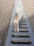 Bird feather stuck in a sewer grate