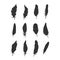 Bird feathers black silhouette icon set. Isolated vector feather collection.