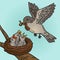 Bird feed chicks pop art vector illustration