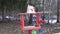 Bird feeder with new year Christmas decorations and birds