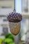 Bird feeder in shape of acorn for sale