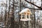 Bird feeder on tree branch in forest in winter