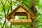 Bird feeder on a tree in the spring forest