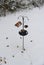 Bird feeders and the pole on the ground covered with snow after a winter storm