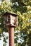 Bird feeders. tree house for the birds feeding her yound ones