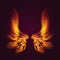 Bird fire wings vector fantasy feather burning fly mystic glow fiery burn hot art wings illustration on black.