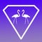 Bird Flamingo Pair Logo Banner Image on Violet  Gradient  Background