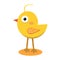 Bird flat style for your design , icon, avatar, character.