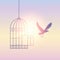 Bird flies out of the cage into the sunny sky