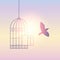 Bird flies out of the cage into the sunny sky