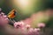 bird on a flower robin on a flower robin on a branch