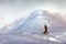 Bird fly above the hills. Japan eagle in the winter habitat. Mountain winter scenery with bird. Steller\\\'s sea eagle, flying bird