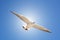 Bird fly on blue sky. sky background. Gorgeous Flight of bird with Blue sky. Seagull hovers on deep blue air. Gull hunting down fi