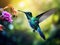 Bird in fly. Flying hummingbird. Action wildlife scene from nature. Hummingbird from Costa Rica in tropic forest