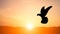 A bird is flying during the sunset, natural golden sunlight on the top of the mountain symbolizes freedom and freedom