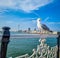 Bird in focus and brighton city in background