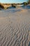 Bird foot print in the sand