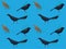 Bird Grackle Cartoon Seamless Wallpaper Background