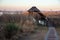 A Bird Hide in nature.  South Africa.