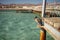 Bird hides from strong wind on a wooden pier in sea