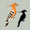 Bird hoopoe vector illustration style flat silhouette