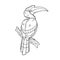 Bird Hornbill in Line art. Coloring book.