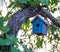 Bird house