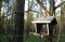 Bird house in the forest. Care of birds concept.