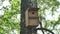 Bird house in the forest. Wooden Bird Cage. Thrush cage