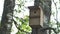 Bird house in the forest. Wooden Bird Cage. Thrush cage