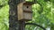 Bird house in the forest. Wooden Bird Cage. Thrush cage