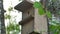 Bird house in the forest. Wooden Bird Cage. Thrush cage