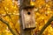 Bird house hanging on the maple tree