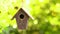 Bird house hanging in a tree in a garden during summer