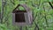 A bird house made of cardboard hanging in the trees in the park