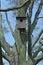 Bird house nest box