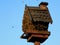 The Bird House Occupied By Huge Bee Hive