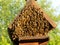 The Bird House Occupied By Huge Bee Hive