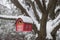 Bird house on tree in winter