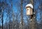 Bird House in Winter on Tree Trunk